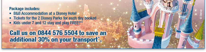 Save up to 30% at Disneyland&reg; Paris!*